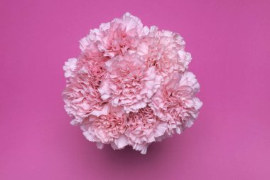 Pembe karanfil çiçeği buketi ...