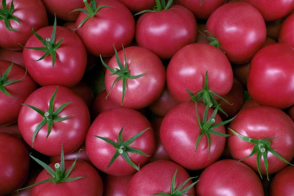 Rote Tomaten Gesunde Ernährung — Stockfoto
