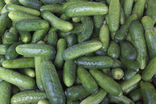 Las Frutas Verduras Frescas Venden Mercado — Foto de Stock