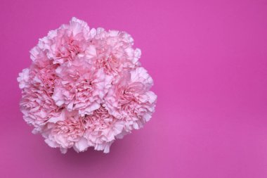 Karanfil demetinin en üst görüntüsü. ...