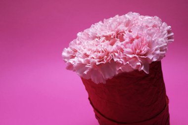 Pembe arka planda pembe karanfiller ...