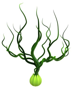 Bitki yeşil sarmaşıklar bud filiz büyüyen out, beyaz üzerinde 3d illüstrasyon izole