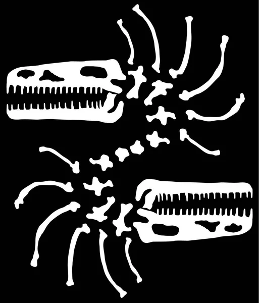 Dinosaure Squelette Tête Cou Miroir Vecteur Horizontal Fond Noir Isolé — Image vectorielle