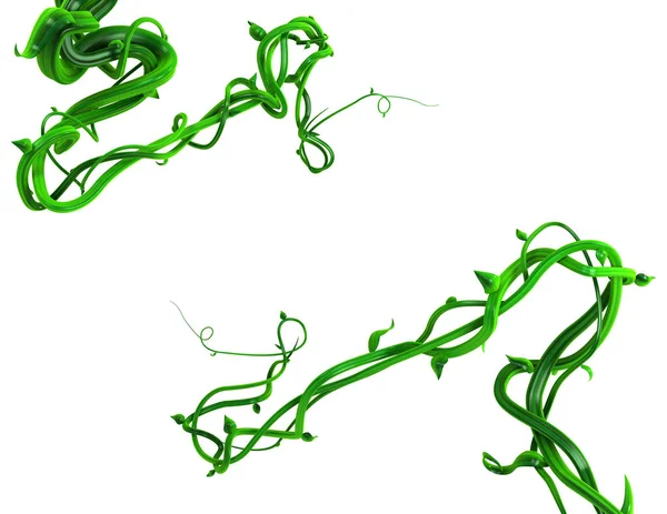 Vinhas Plantas Verde Crescente Torcendo Dois Cantos Reunião Ilustração Horizontal — Fotografia de Stock