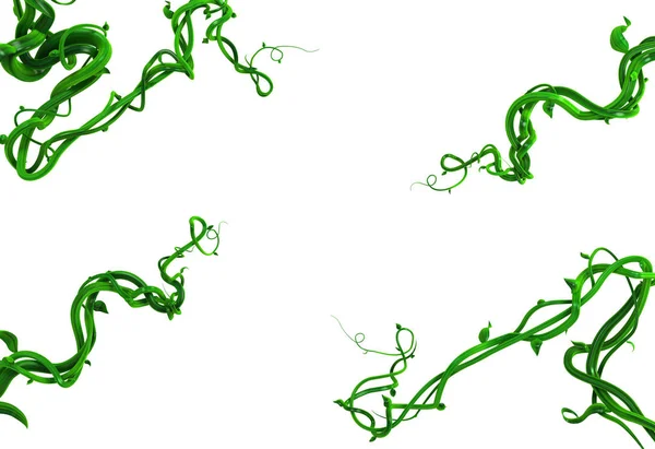 Viñas Plantas Verdes Que Crecen Torciendo Cuatro Esquinas Ilustración Horizontal — Foto de Stock