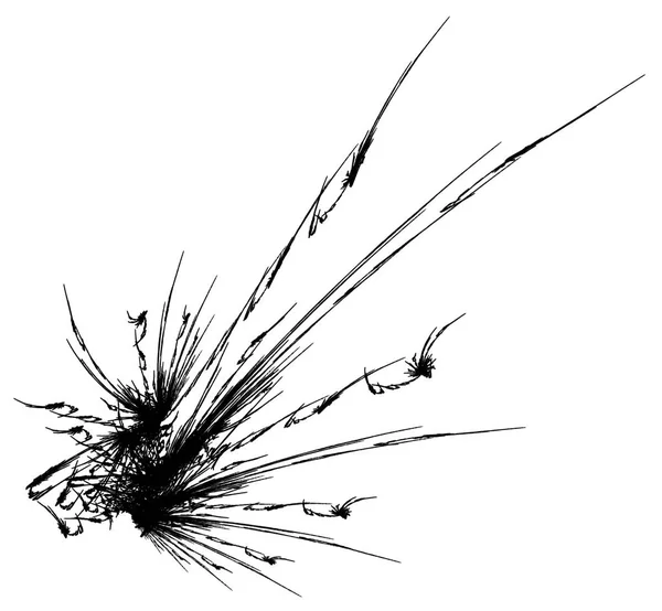 Černým Inkoustem Spike Květinové Fraktální Obrazec Abstraktní Ilustrace Horizontální Přes — Stock fotografie