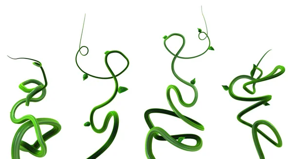 Plant Vines Green Growing Twisting Four Group Illustration Horizontal Isolated — Stock Photo, Image