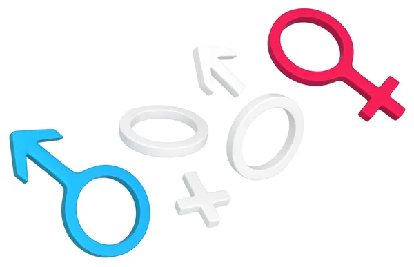 Geslacht Mannelijke Vrouwelijke Symbolen Onderdelen Afbreken Illustratie Geïsoleerd Horizontale Wit — Stockfoto