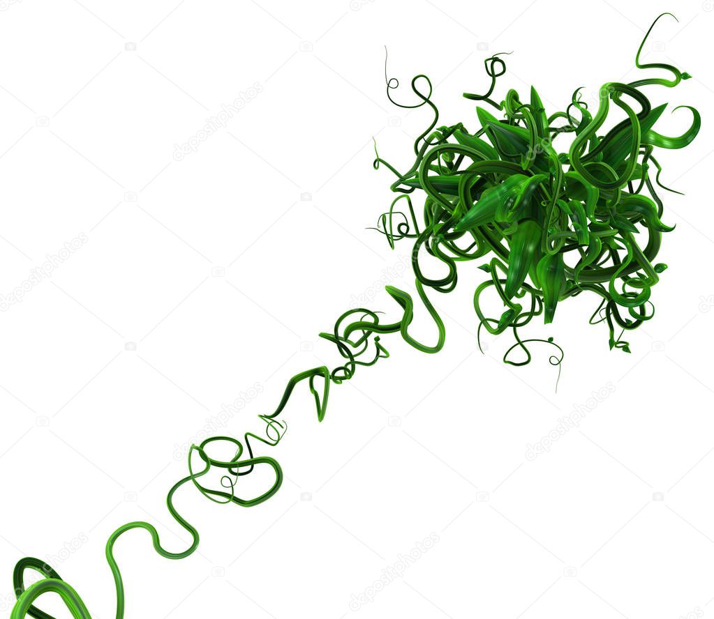 Plant vines green growing twisting leaf core far, 3d illustration, horizontal, isolated, over white