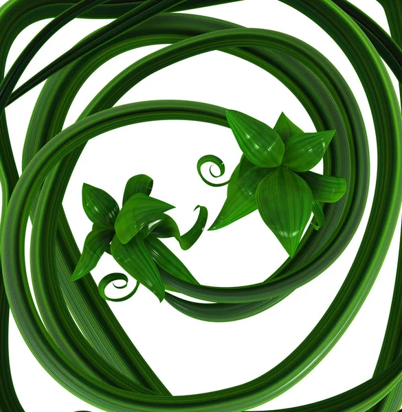 Plant vines green growing twisting pair center, 3d illustration, horizontal, over white