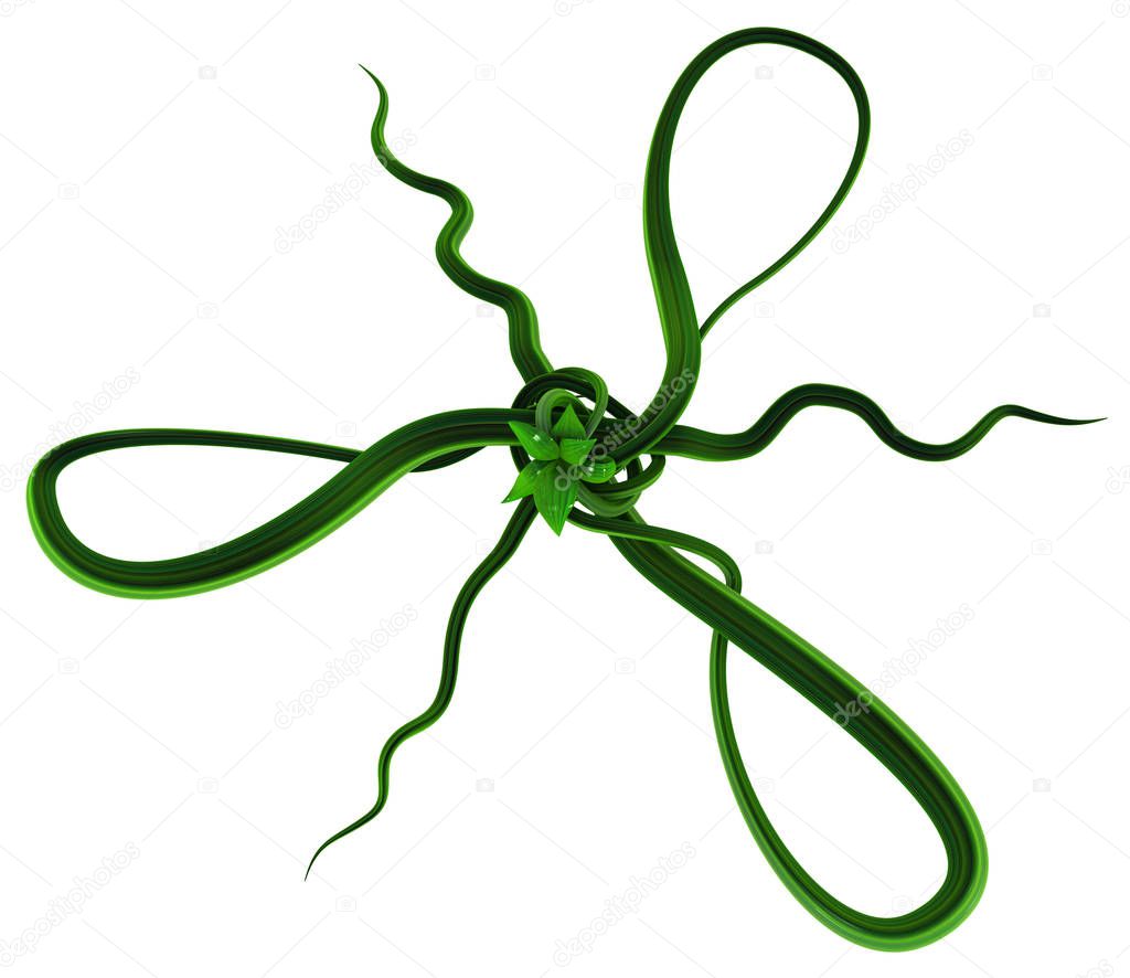 Plant vines green growing twisting knot triangle, 3d illustration, horizontal, isolated, over white
