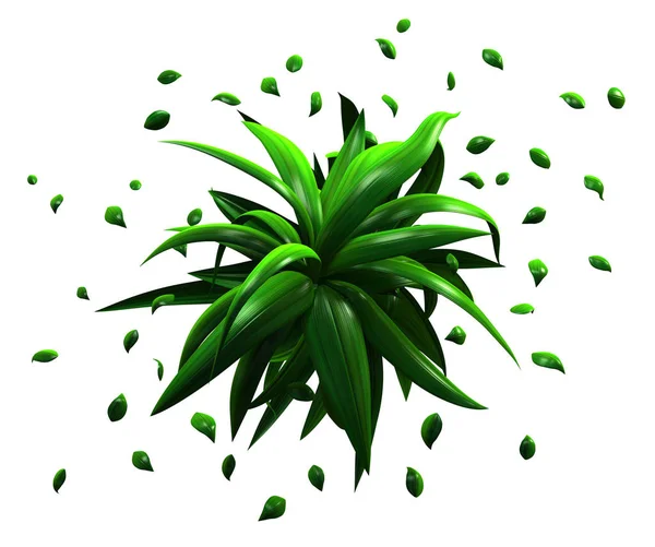 Folhas de plantas Verde, Dispersão — Fotografia de Stock