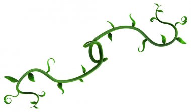 Bitki Vines yeşil, yaprak şube Hooks