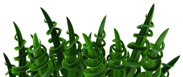 Vitigni vegetali Verde, Spirale Spikes — Foto Stock