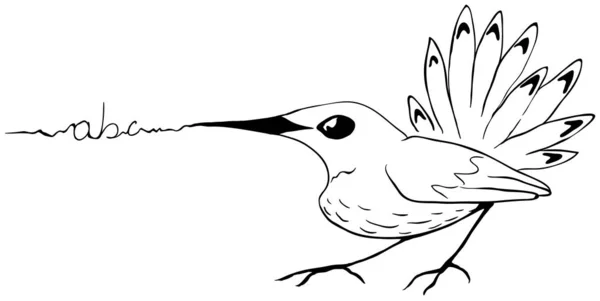 Messaggio di scrittura disegno linea uccello — Vettoriale Stock
