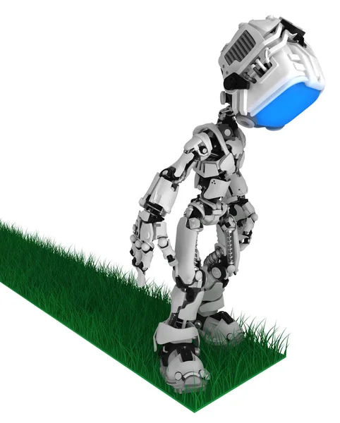 Levande skärm robot, Grass Road End — Stockfoto