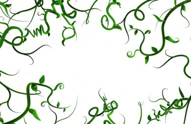 Bitki Sarmaşıklar Yeşil, Tendrils Edge