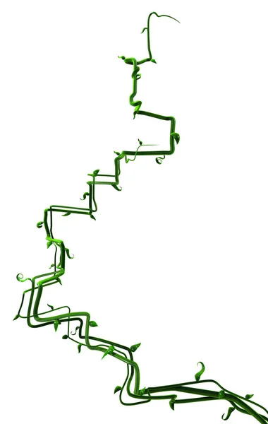 Φυτό αμπέλια πράσινο, βήματα αφηρημένο — Φωτογραφία Αρχείου