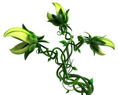 Üç başlı yeşil ısıran sarmaşık, üç boyutlu çizim, yatay, yalıtılmış, beyaz üzerine