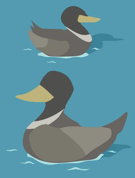 Ducks Swimming Vector Cartoon Color Illustration Vertical — Stock Vector
