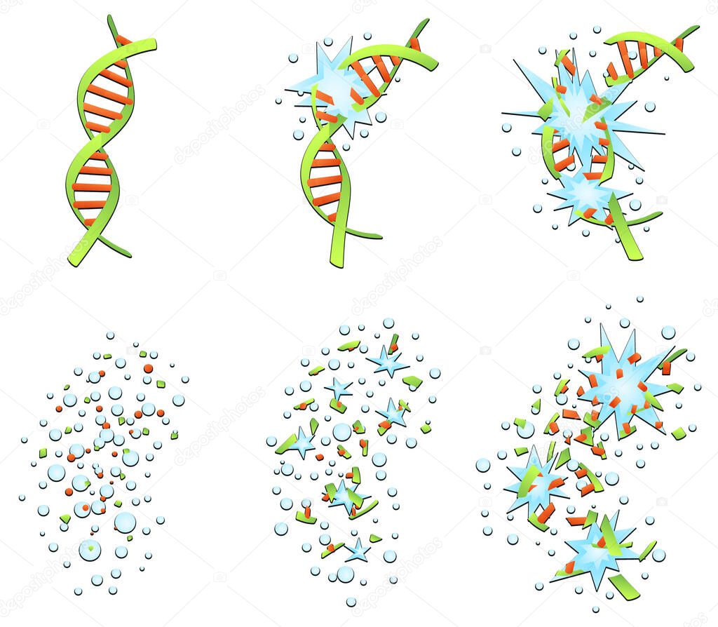 DNA helix breaking apart gradually into nothing animation, cartoon design element set, isolated vector, horizontal