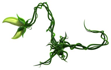 Bitki yeşili ısıran sarmaşık büyüdü, 3 boyutlu illüstrasyon, yatay, izole, beyaz üzerine