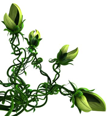 Bitki ısıran sarmaşık büyüyen dört baş, üç boyutlu resimleme, yatay, izole, beyaz üzerinde