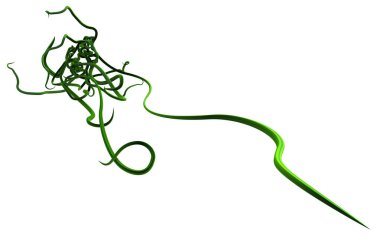 Bitki üzümleri yeşilleniyor. Karışıklık yaratıyor. Üç boyutlu illüstrasyon, yatay, izole, beyazın üzerinde.