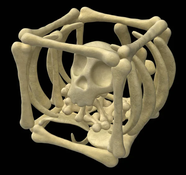 Skeleton Οστά Κουτί Κινουμένων Σχεδίων Εικόνα Οριζόντια Πάνω Από Μαύρο — Φωτογραφία Αρχείου