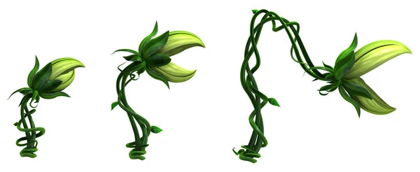 Укусы Растений Растет Три Этапа Анимированные Иллюстрации Горизонтальные Изолированные Над — стоковое фото
