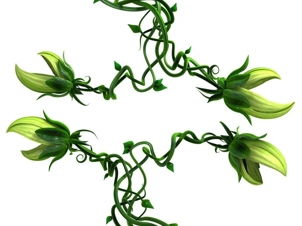 食用植物 左右生长 3D插图 白色以上 — 图库照片
