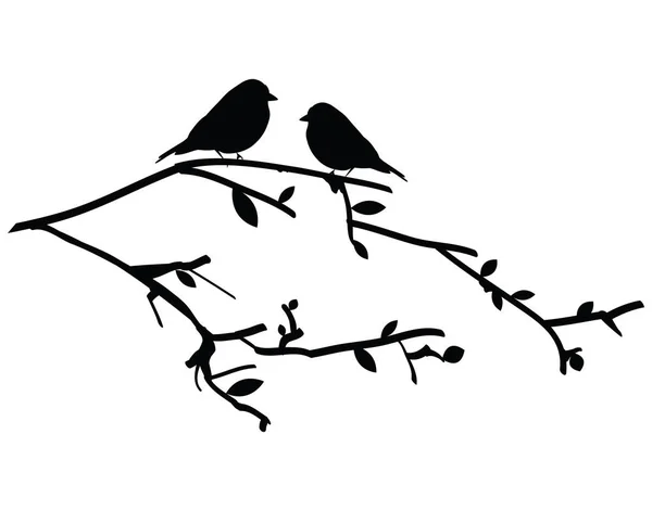 Vektor Silhouette Vögel Auf Einem Ast — Stockvektor