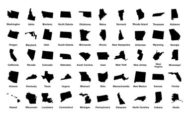 Amerika Birleşik Devletleri. 50 eyalet. Vektör çizim