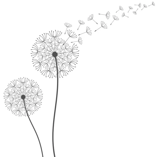 Dandelion background. Vector illustration — Stock Vector