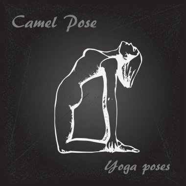 Yoga deve poz poz illüstrasyon