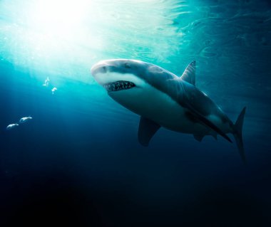 Büyük beyaz köpekbalığı ışık ışınları / 3d ile suyun altında yüzüyor.