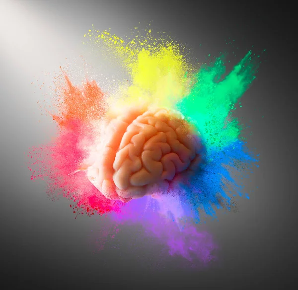 Concepto Creatividad Con Cerebro Explotando Con Ideas Imágenes De Stock Sin Royalties Gratis