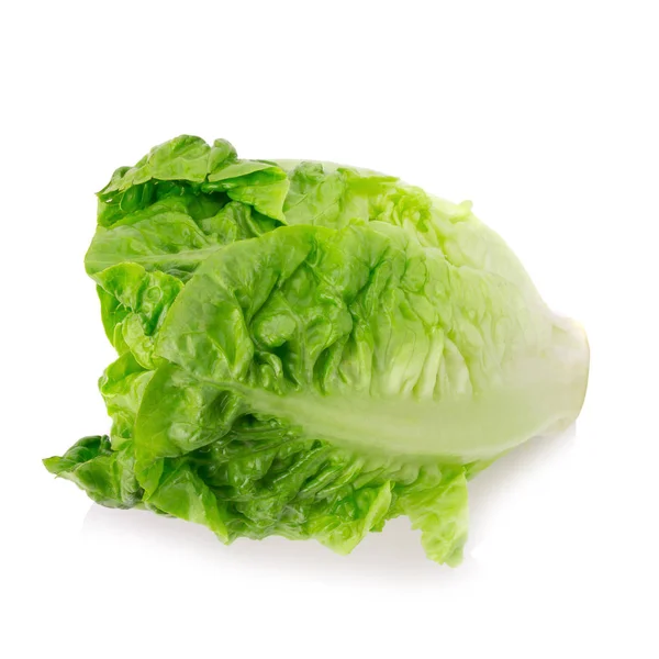 Bebé fresco cos (lechuga) sobre fondo blanco — Foto de Stock