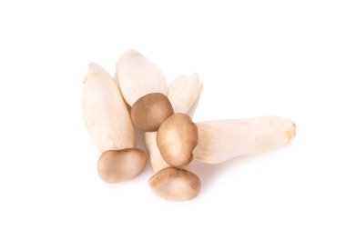 Beyaz kağıt üzerine kral istiridye mantar (Eringi)