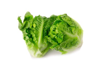 Taze bebek çünkü (marul) beyaz arka planda