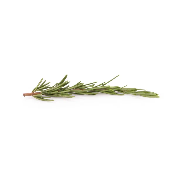 Rosemary isolated on white background — Stock Photo, Image