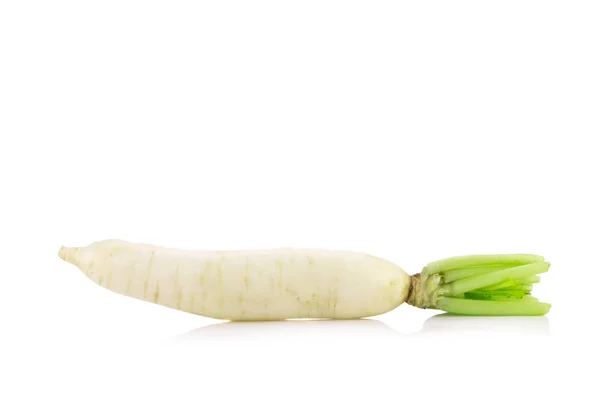 Rábanos daikon aislados sobre fondo blanco — Foto de Stock