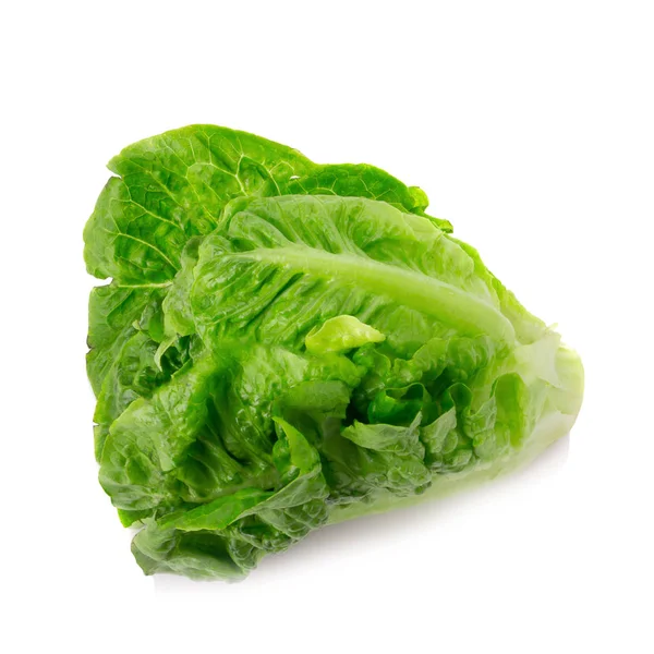 Fresh baby cos (lettuce) on white background — Stock Photo, Image