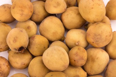 Beyaz arka plan üzerinde izole Wollongong