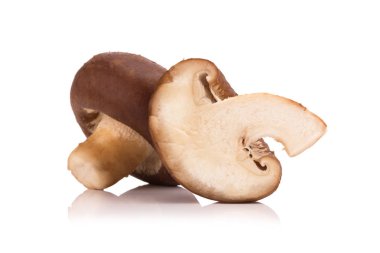 Beyaz arka planda izole edilmiş Shiitake mantarları.
