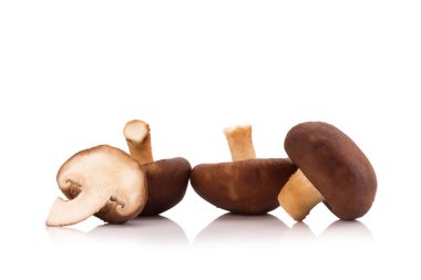 Beyaz arka planda izole edilmiş Shiitake mantarları.