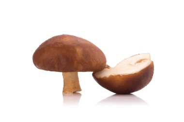 Beyaz arka planda izole edilmiş Shiitake mantarları.
