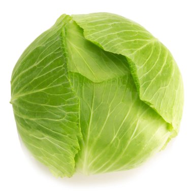 cabbage isolated on white background clipart