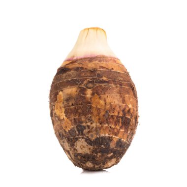 beyaz zemin üzerine Taro