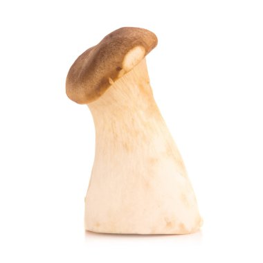 Beyaz arka planda Kral istiridye mantarı Pleurotus eryngii